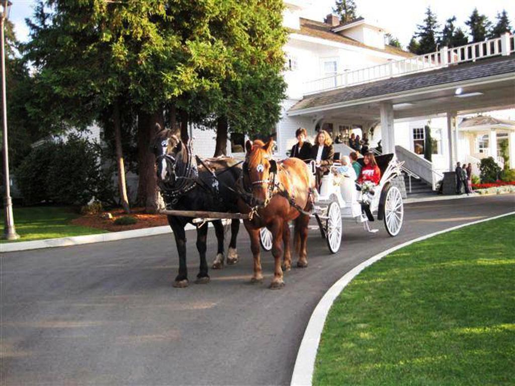 קואליקום ביץ' Crown Mansion Boutique Hotel & Villas מראה חיצוני תמונה